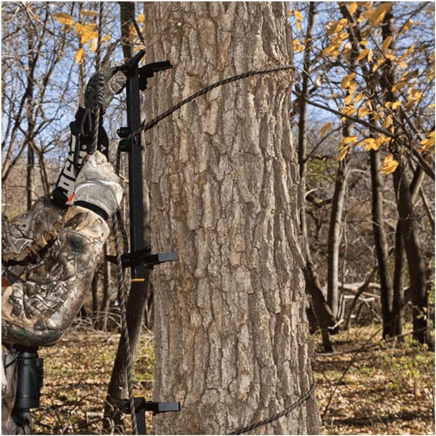 Pro Climbing Sticks with Rope Cam Attachment
